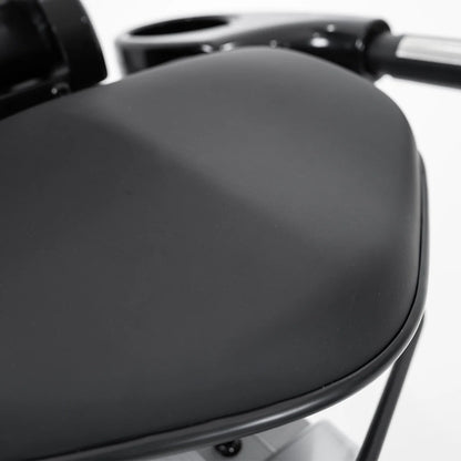 RBX-110 Commercial Recumbent Bike