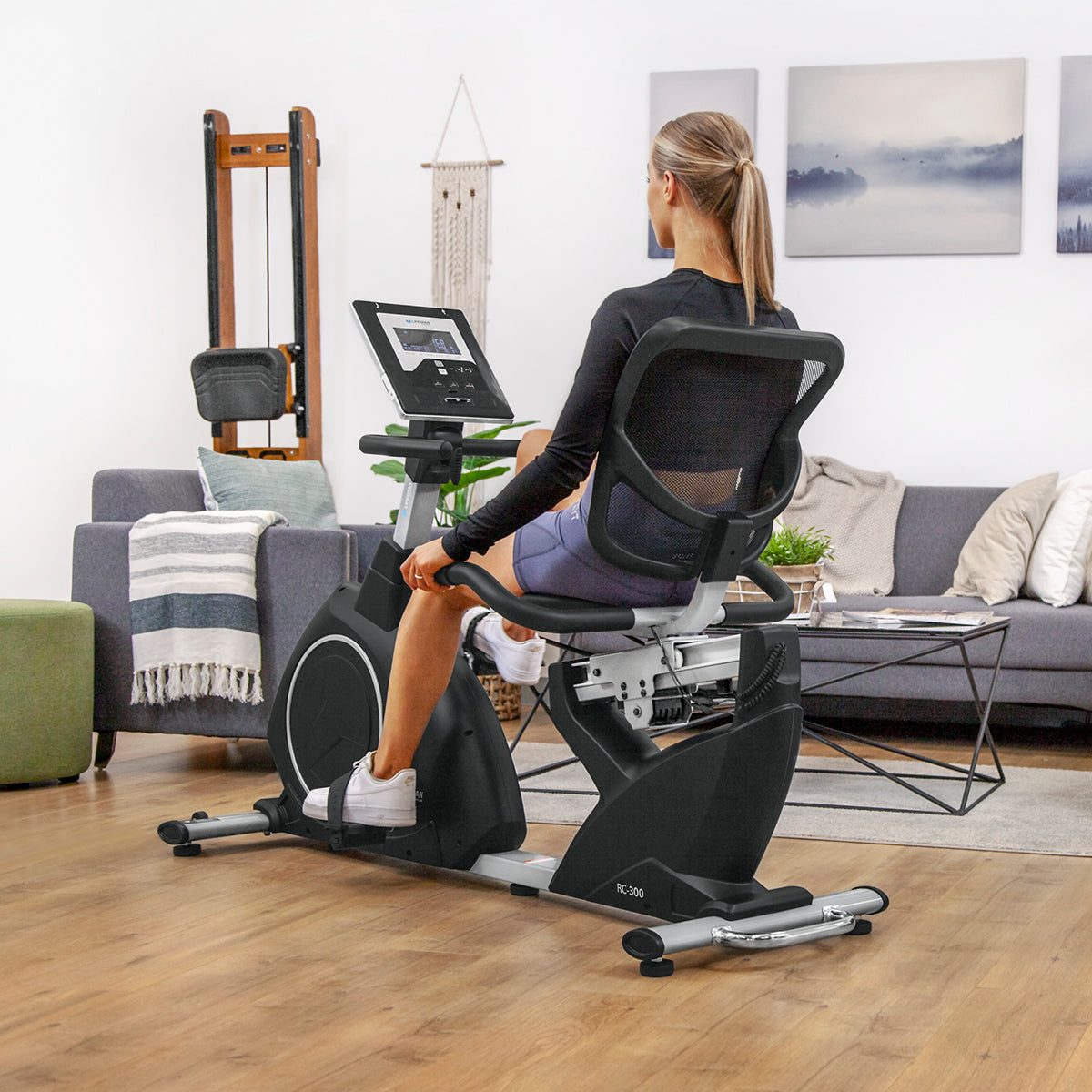 RC-300 Recumbent Bike